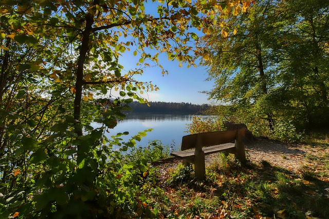 的因素有时 的因素有时
