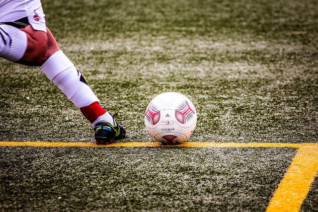 但上海海港 但上海海港